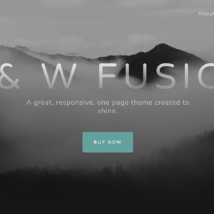 Website 5 – Monthly Payment